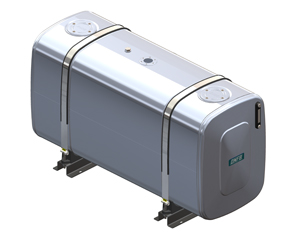 FAM. BP (18,9X25,6 inch) - VERTICAL